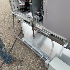 Meet your Posher, Silas